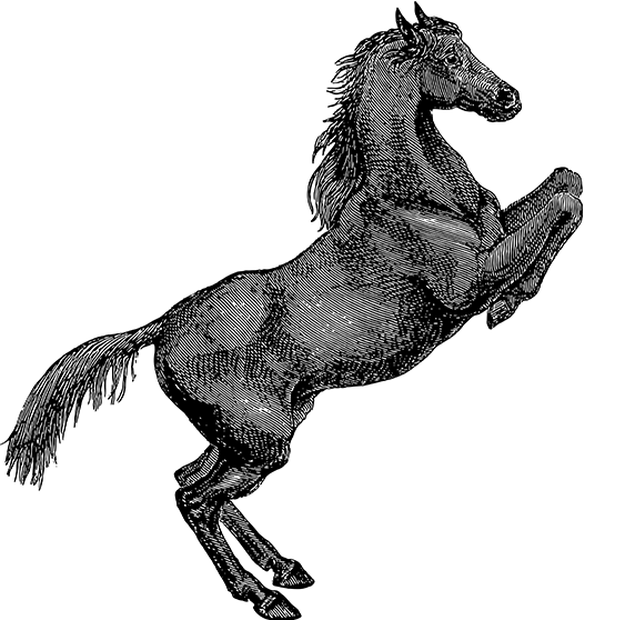 九游APP官网